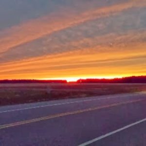 Meet your Posher, Thomas